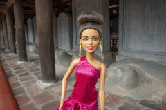 vietnam_hanoi_TWB5049