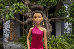 vietnam_hanoi_TWB5056