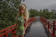 vietnam_hanoi_TWB5078