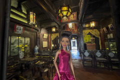 vietnam_hoi-anIMG_7259